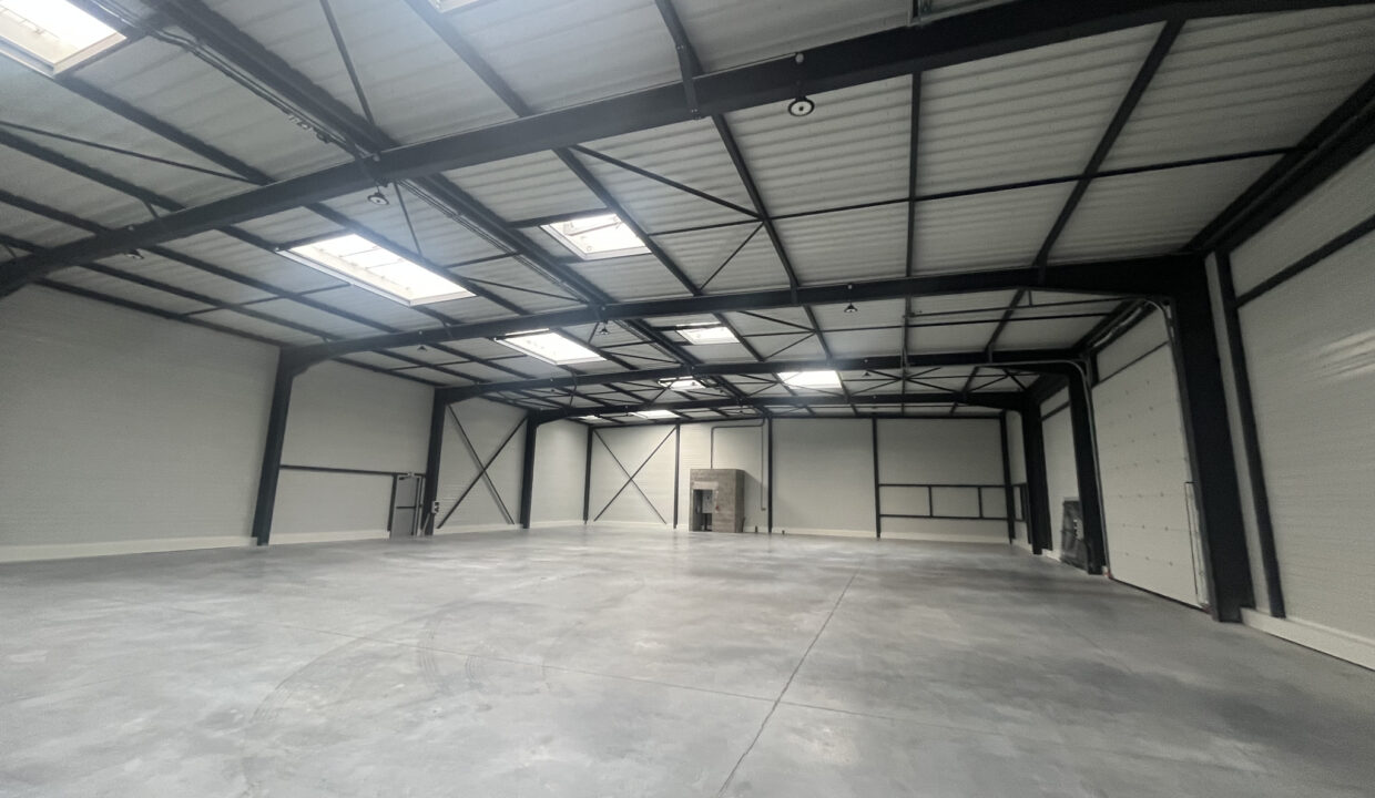 photo_6e6c2ae7170183c98585b834b9fd0cb4