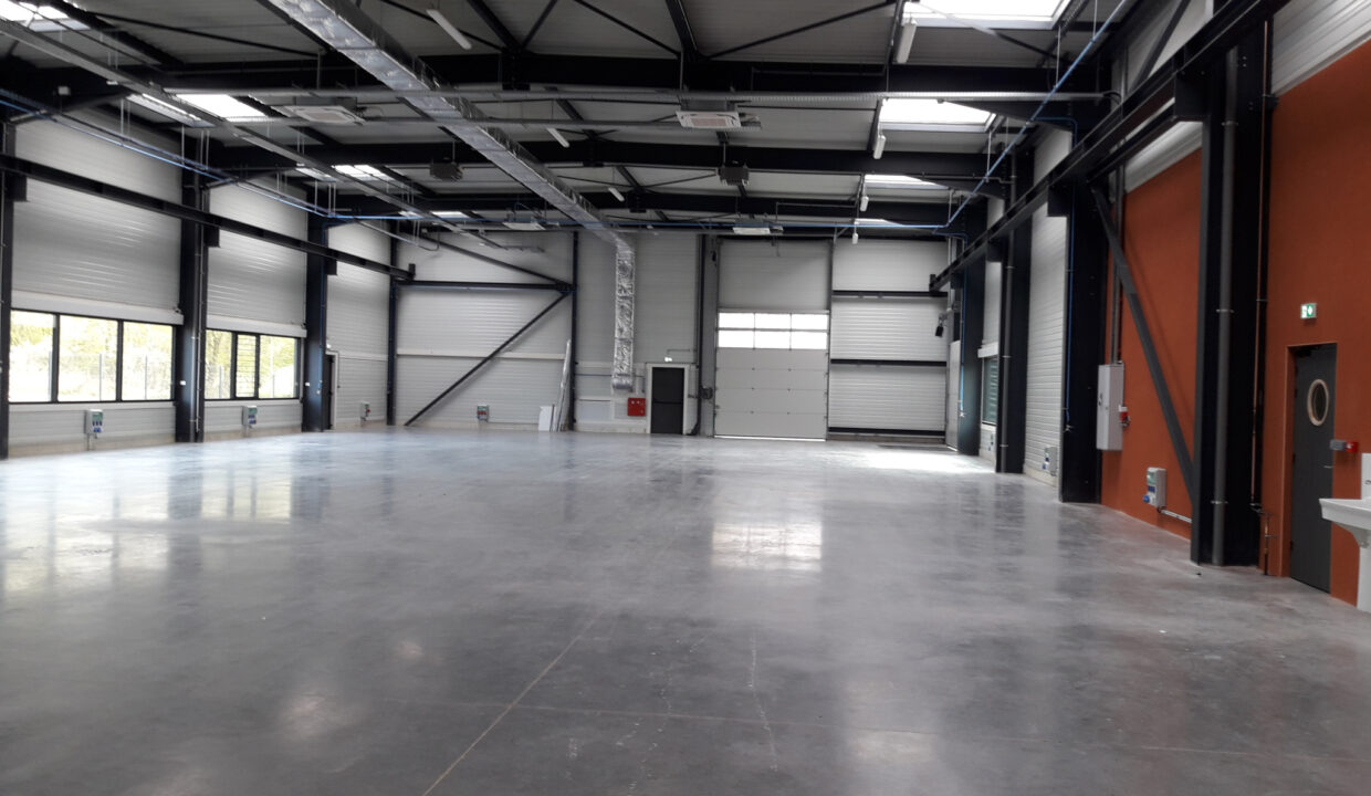 photo_c1eff3664fd9e235c2e09f6a5252b5e4