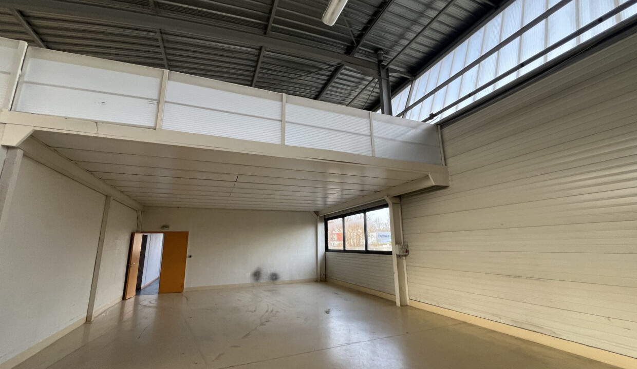 photo_1eaf11f426b5a4138ea9bbbdc09533b4