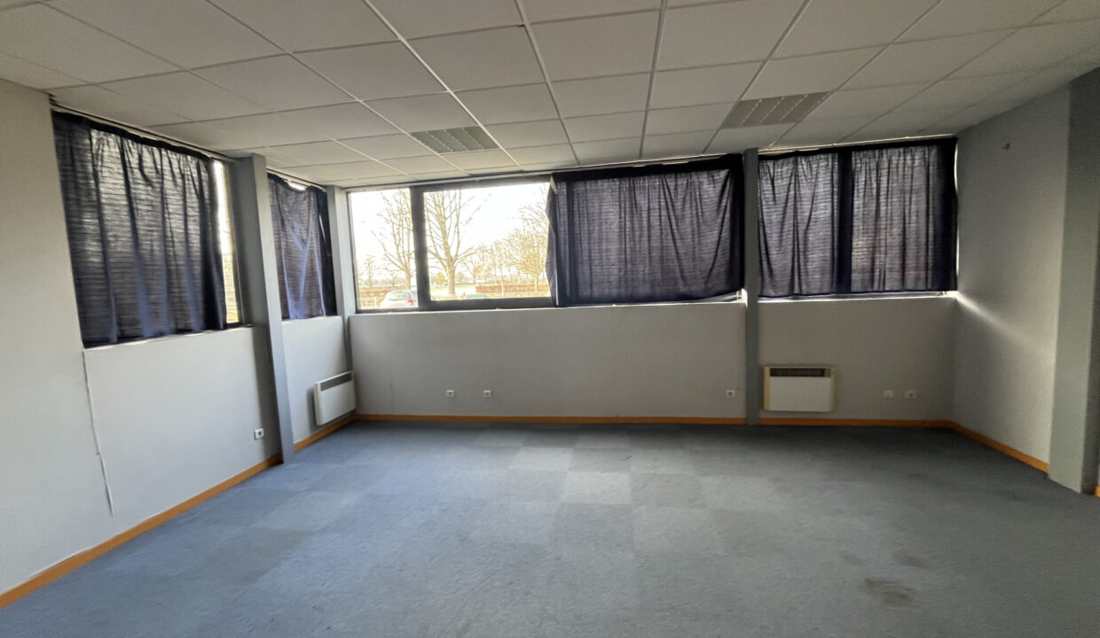 photo_36ab2e589a8e32e878303c687c2a8335