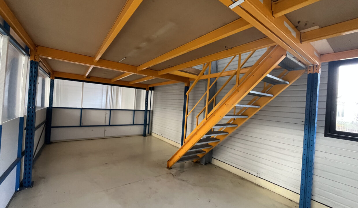 photo_6003715335ecc624883c21867984c094