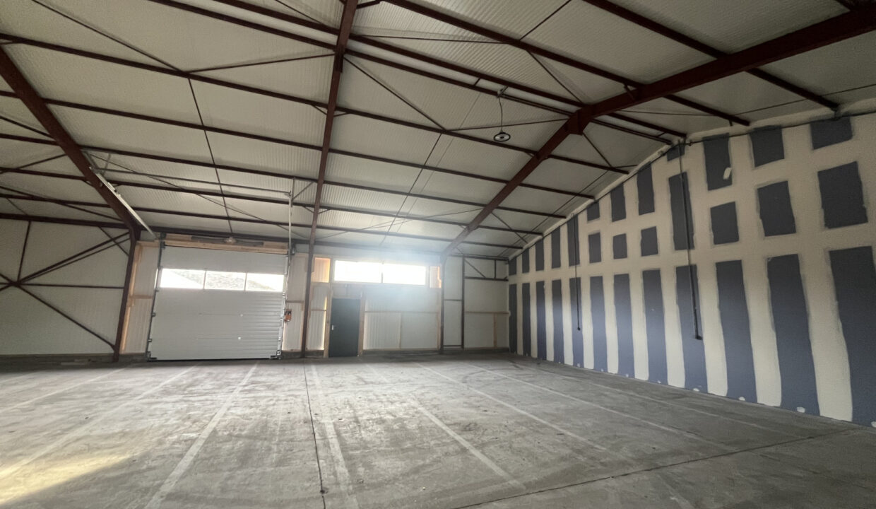 photo_6671bce951174648ebdf0e9c16a99047