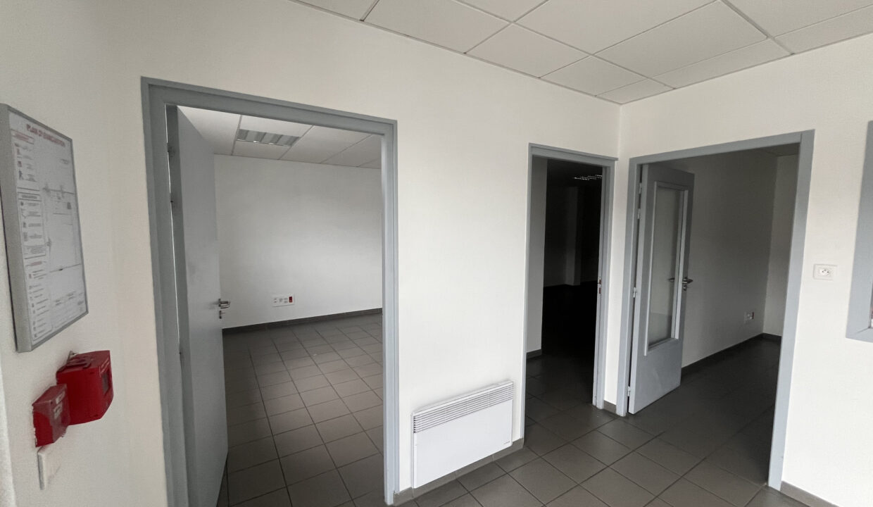 photo_3a98073b54288418995f2d7639783d3e